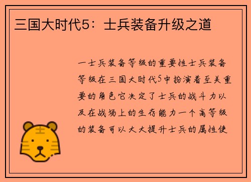 三国大时代5:士兵装备升级之道